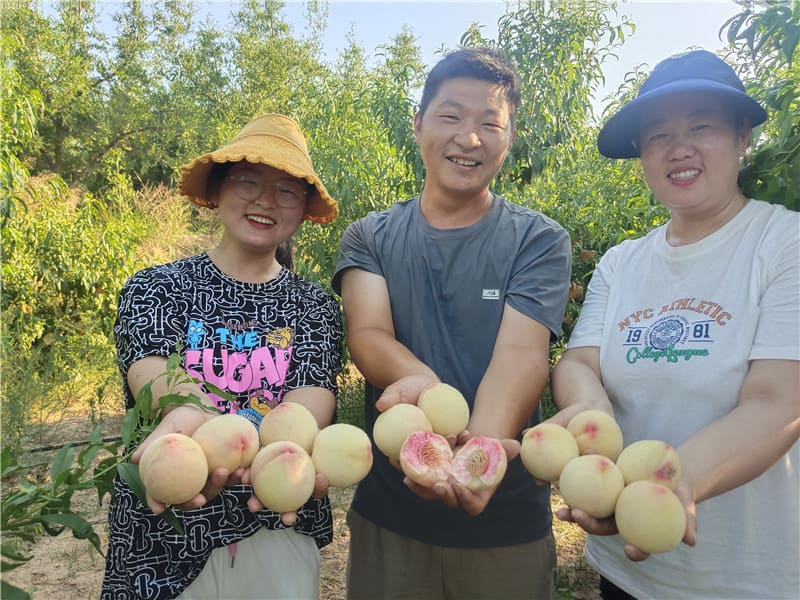 2022-助力农村卖桃